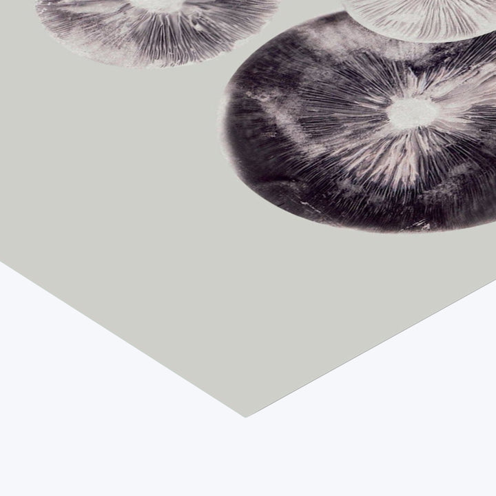 Pernille Folcarelli - Mushroom - 4 Grey 8.27"W x 0.04"D x 5.91"H