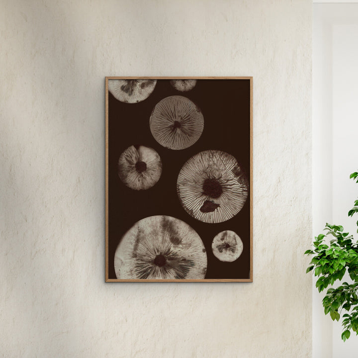 Pernille Folcarelli - Mushroom - 5 Chocolate 19.69"W x 0.04"D x 27.56"H