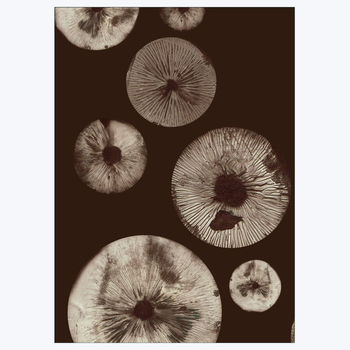 Pernille Folcarelli - Mushroom - 5 Chocolate 8.27"W x 0.04"D x 5.91"H