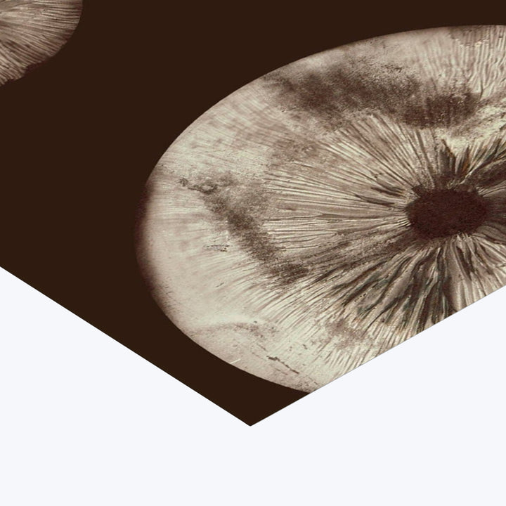 Pernille Folcarelli - Mushroom - 5 Chocolate 8.27"W x 0.04"D x 5.91"H