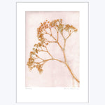 Pernille Folcarelli - Gypso - Ochre 19.69"W x 0.04"D x 27.56"H