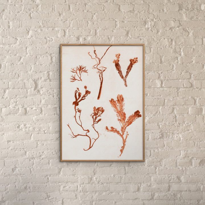 Pernille Folcarelli - Herbs & Seaweed - Rust 19.69"W x 0.04"D x 27.56"H