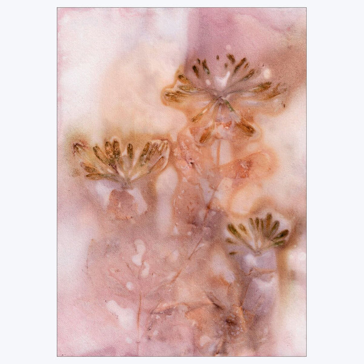 Pernille Folcarelli - Honeysuckle 2 Golden Rose 19.69"W x 0.04"D x 27.56"H