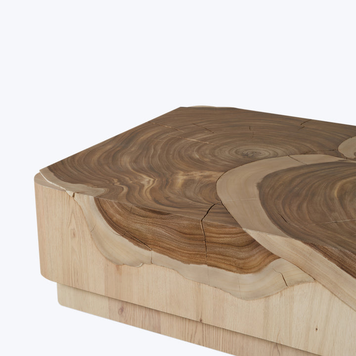 Mara Coffee Table