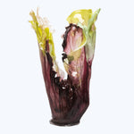 Berry Bioplastic Vessel