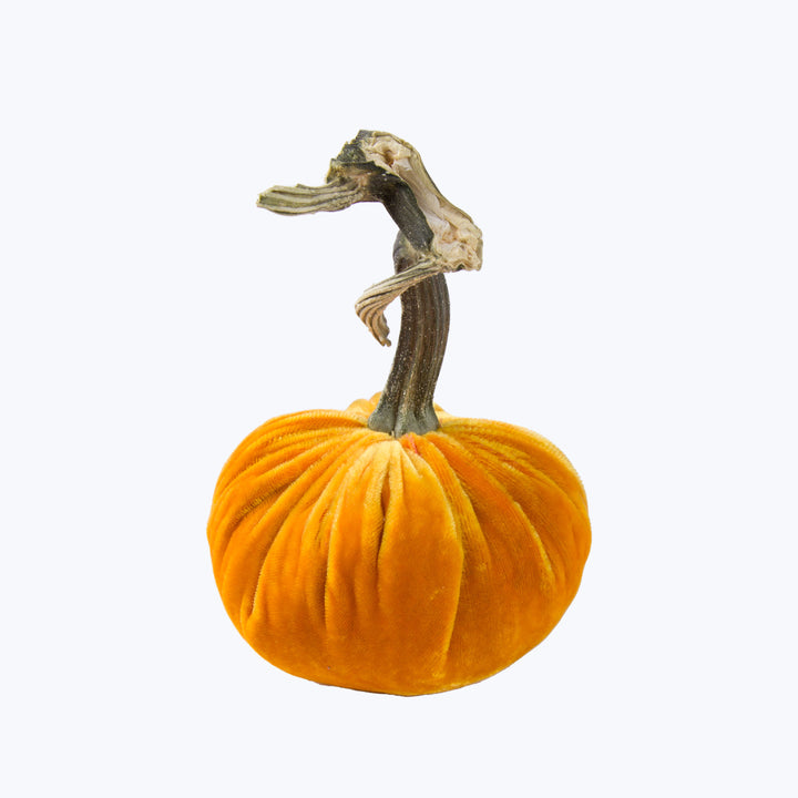 Silk Velvet Pumpkin