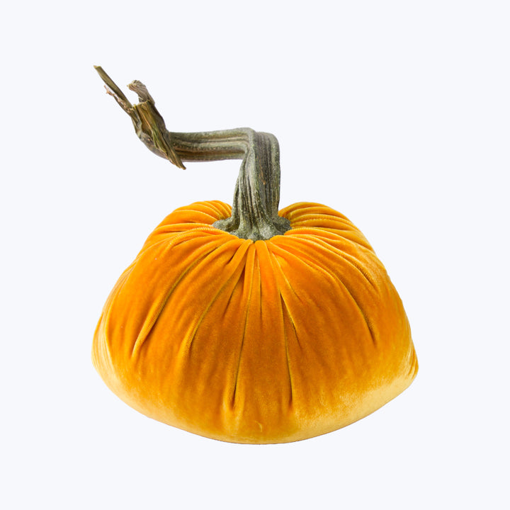 Silk Velvet Pumpkin