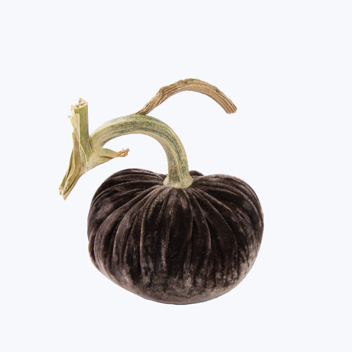 Silk Velvet Pumpkin