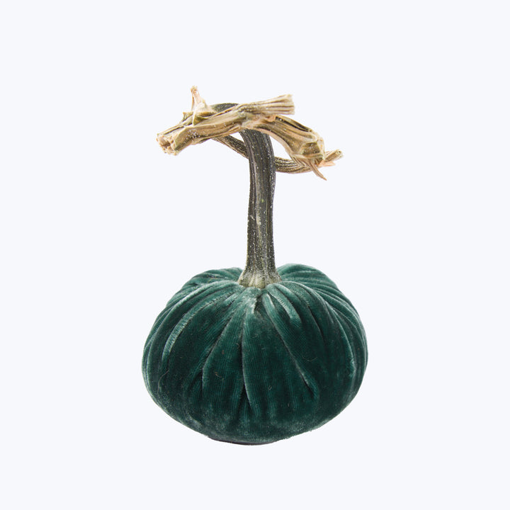 Silk Velvet Pumpkin
