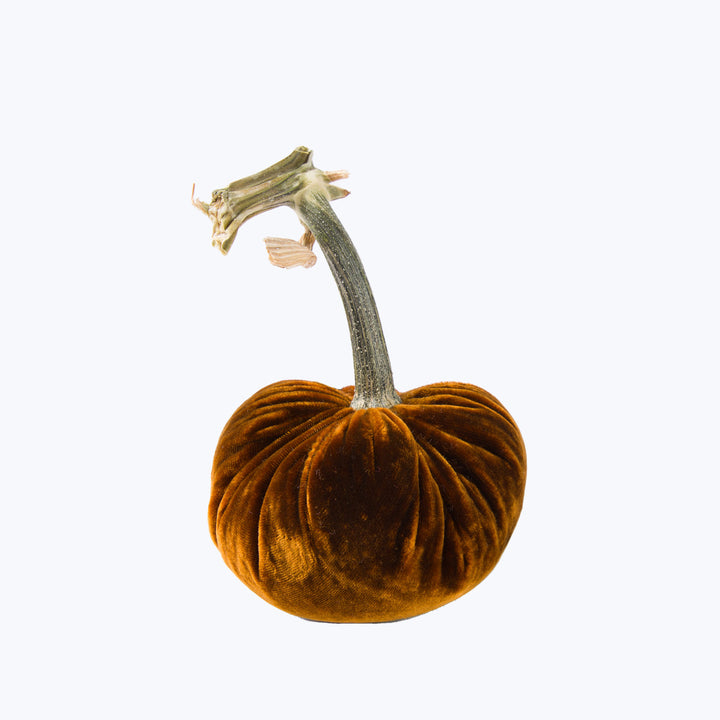 Silk Velvet Pumpkin
