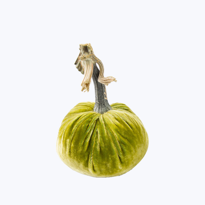 Silk Velvet Pumpkin