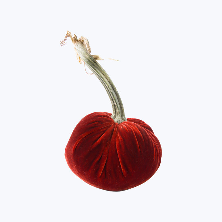 Silk Velvet Pumpkin