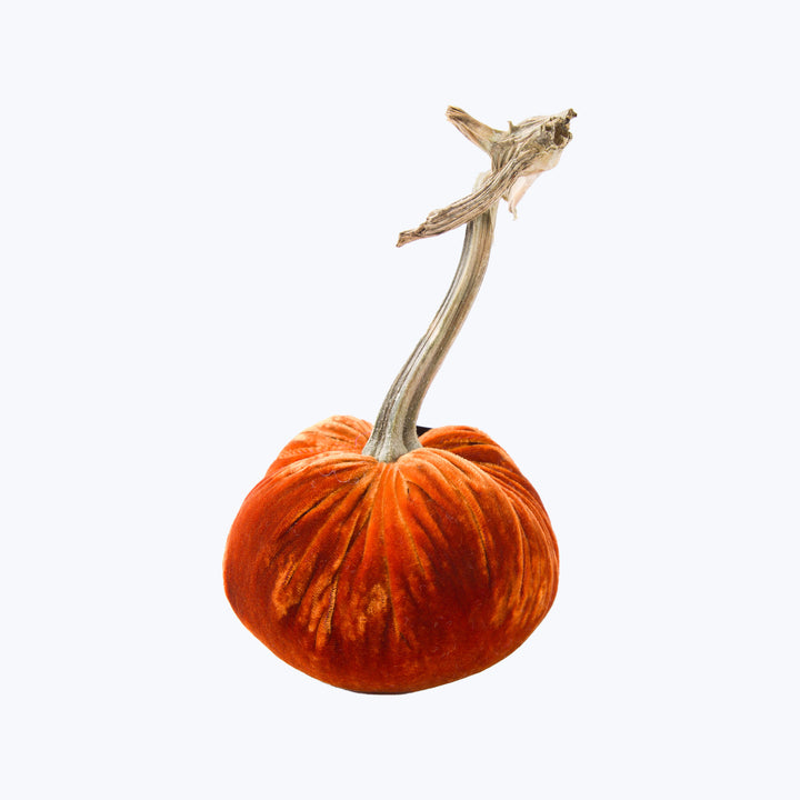 Silk Velvet Pumpkin