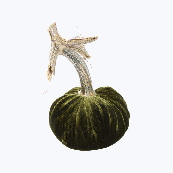 Silk Velvet Pumpkin