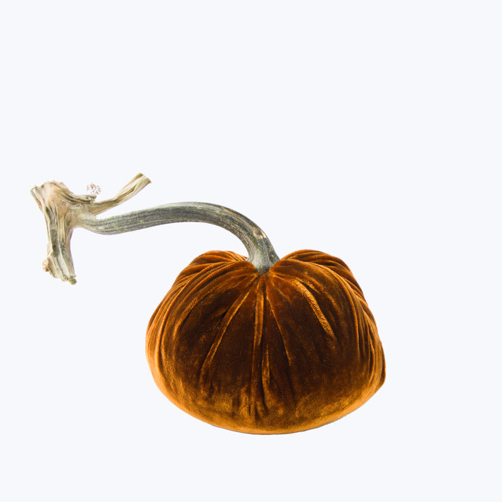 Silk Velvet Pumpkin