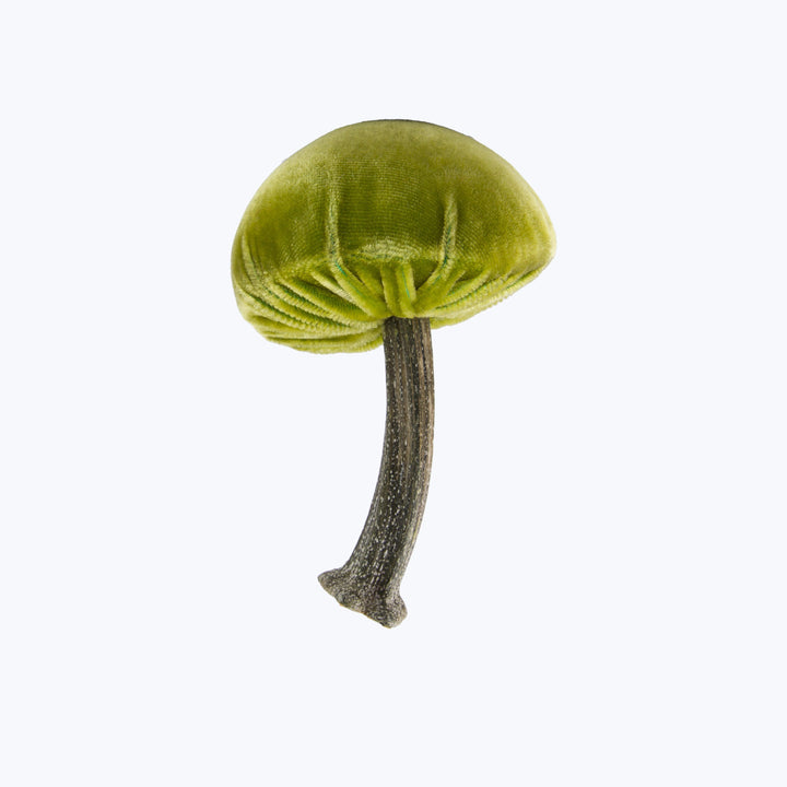 Small Velvet Mushroom