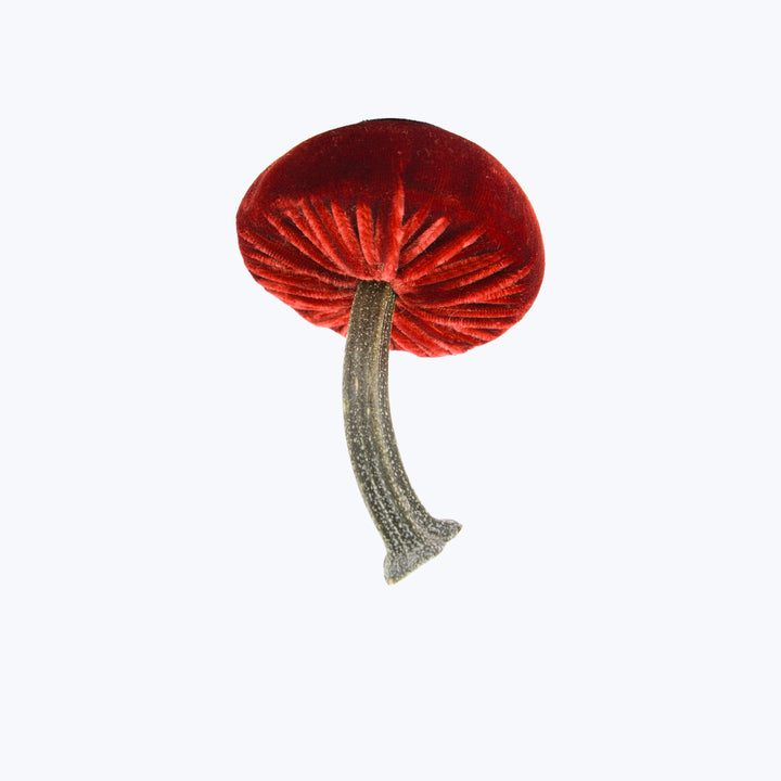Small Velvet Mushroom
