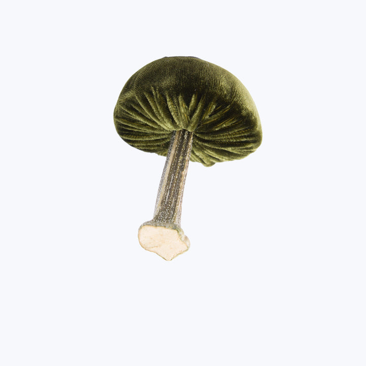Small Velvet Mushroom