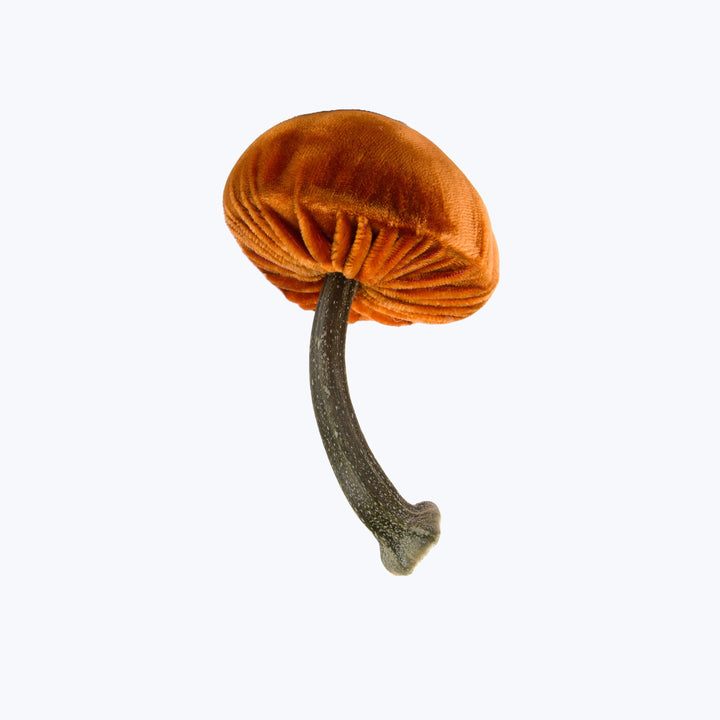 Small Velvet Mushroom