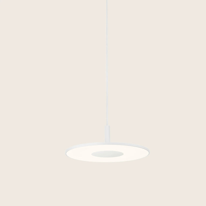 Circa LED Pendant 12" Diameter / Graphite