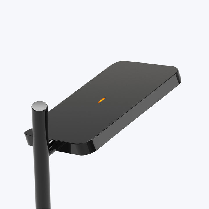 Talia LED Floor Lamp Black