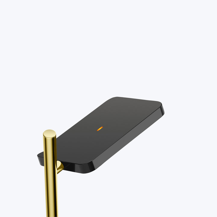 Talia LED Floor Lamp Black / Brass