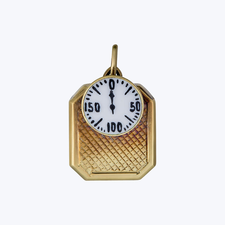 Retro 14KYG Enamel Scale Charm