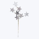 Paper Glitter Pick Star, Silver