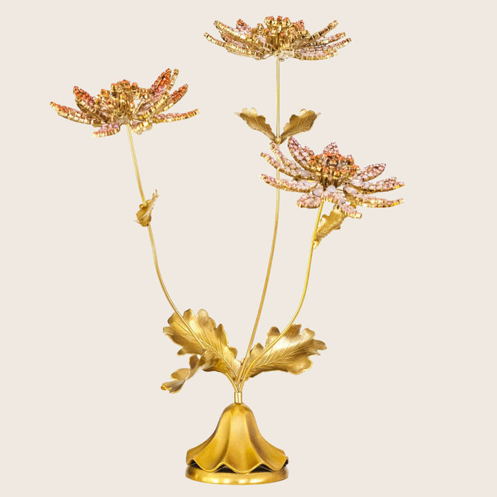 Astrantia Flower Specimen