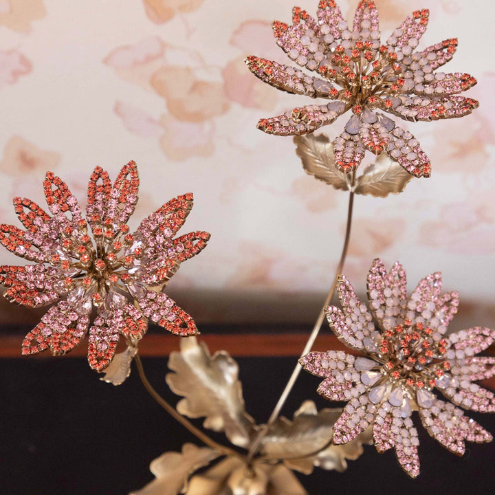 Astrantia Flower Specimen