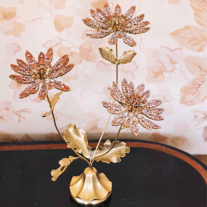 Astrantia Flower Specimen