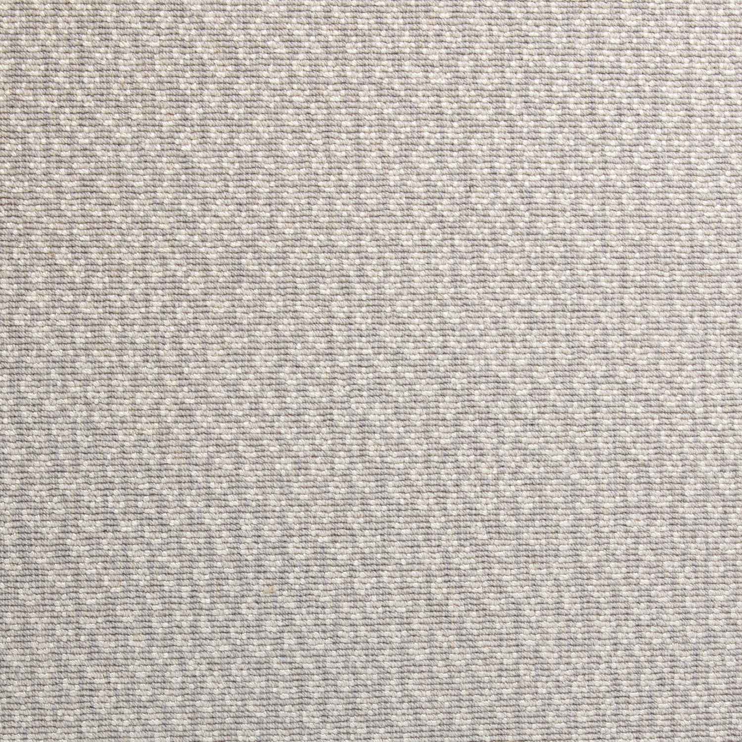 Savanna Custom Carpet Cirrus