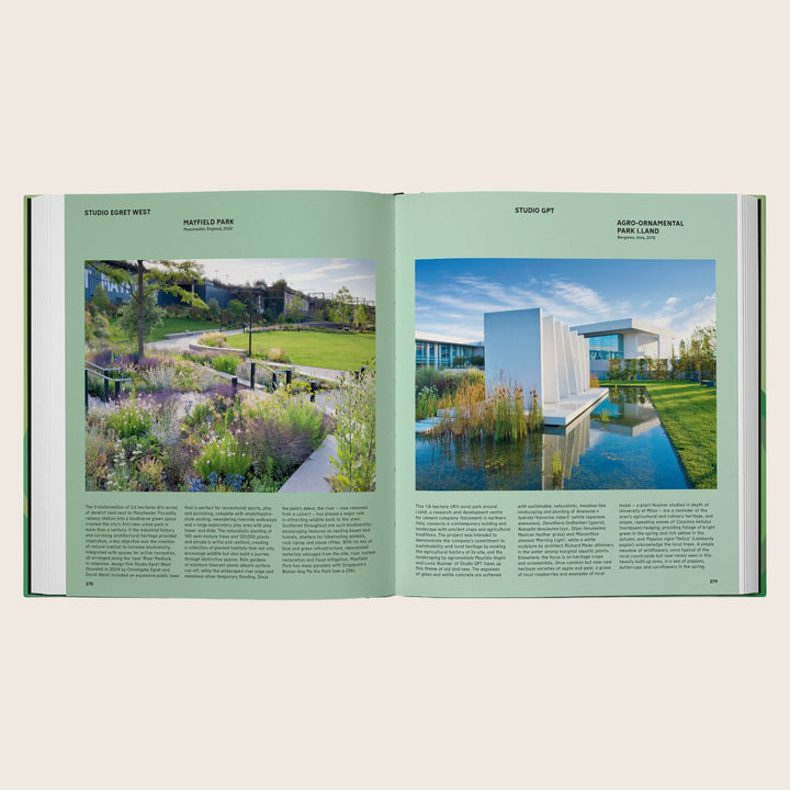 The Contemporary Garden