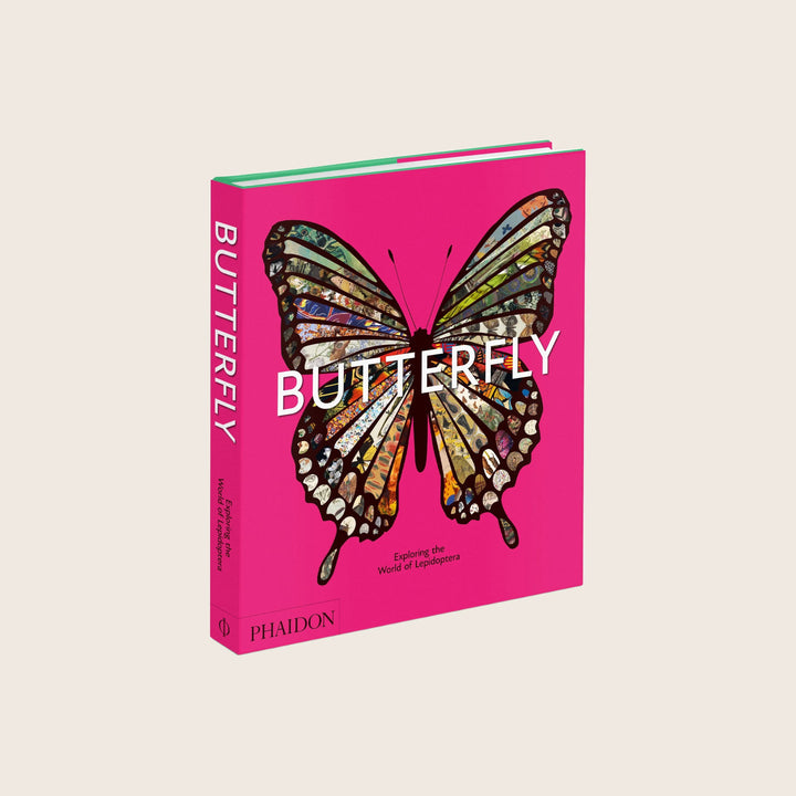 Butterfly: Exploring the World of Lepidoptera