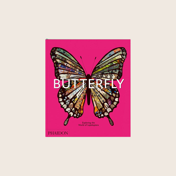 Butterfly: Exploring the World of Lepidoptera