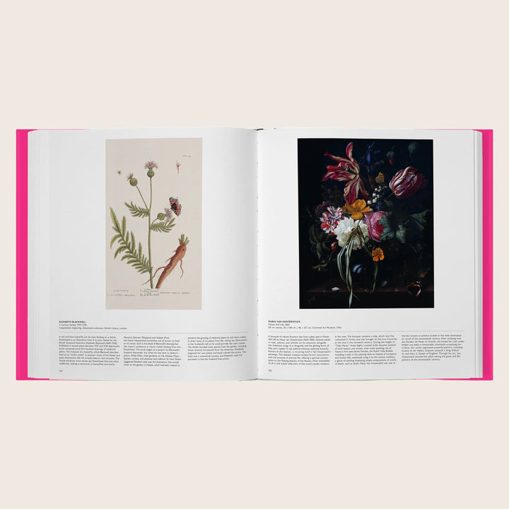 Butterfly: Exploring the World of Lepidoptera