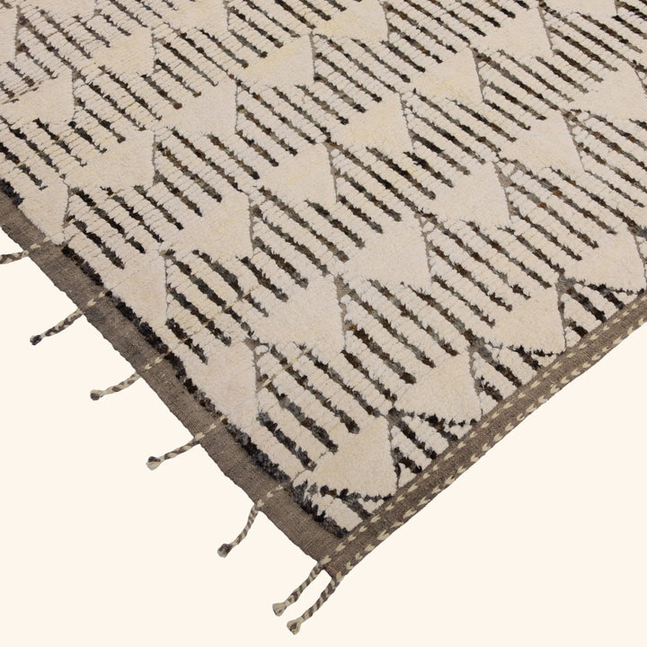 Zameen Transitional Wool Cotton Rug - 9'7" x 11'11"