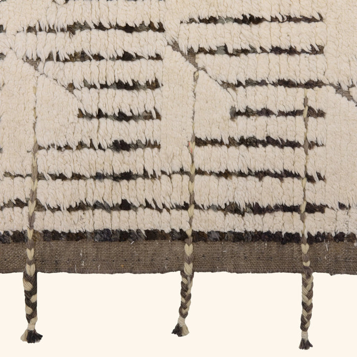 Zameen Transitional Wool Cotton Rug - 9'7" x 11'11"