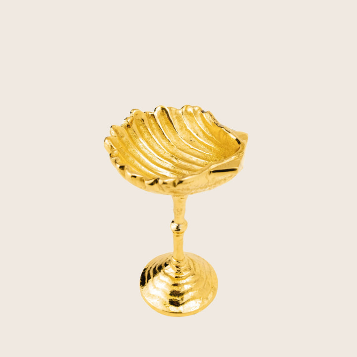 Shell Cordial