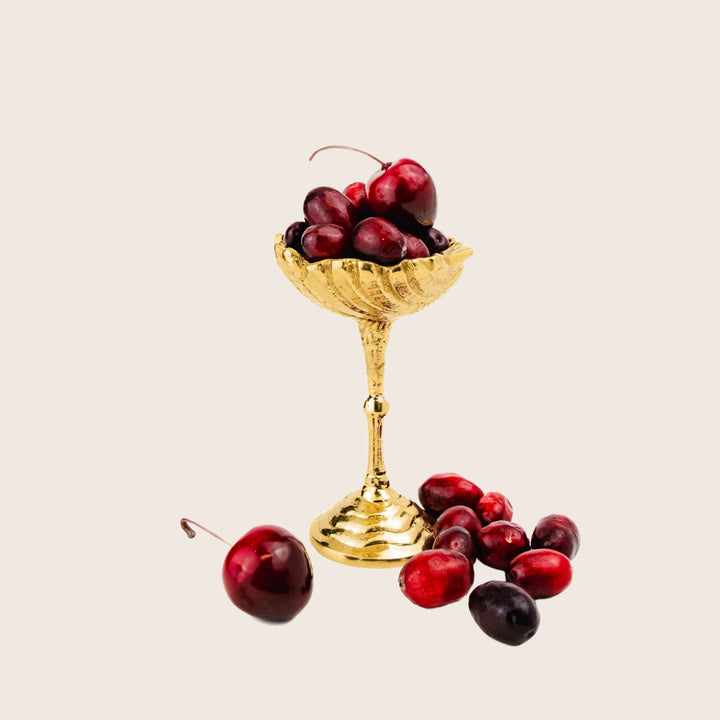 Shell Cordial