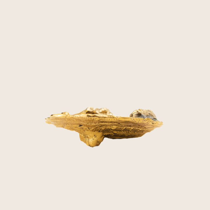 Barnacle Salt Dish