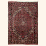Red Traditional Persian Bidjar Wool Rug - 8'2" x 11'10"