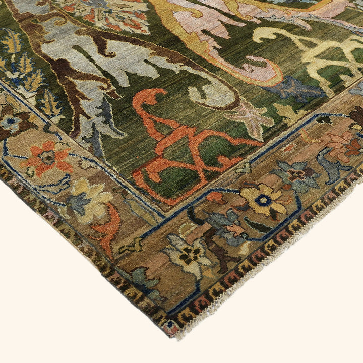 Green Alchemy Traditional Wool Rug - 9'7" x 12'11"