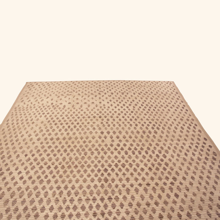 Zameen Transitional Wool Rug - 9' x 12'