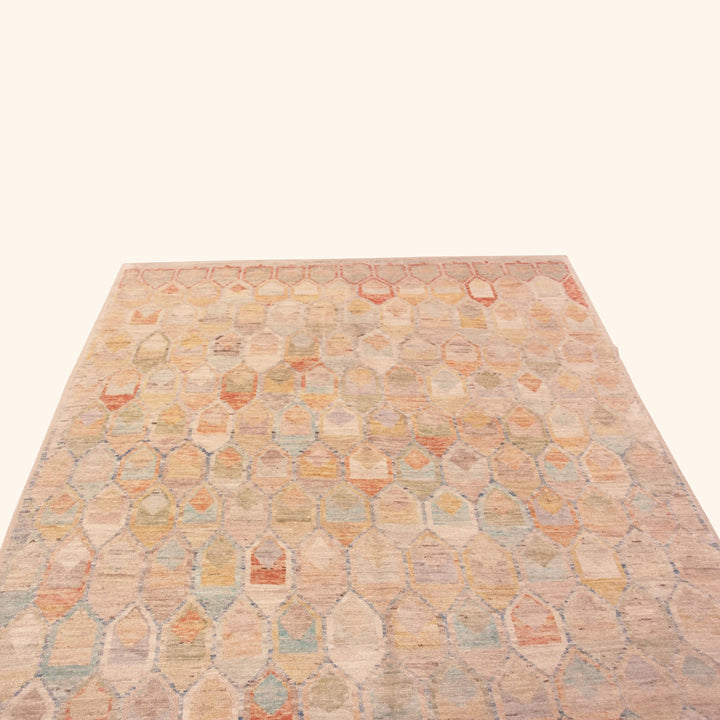 Zameen Transitional Wool Rug - 6'11" x 9'9"