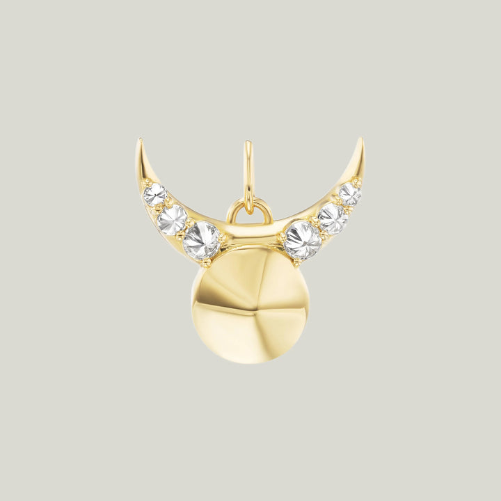Taurus Charm