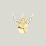 Taurus Charm