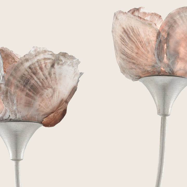 Catrice Wall Sconce