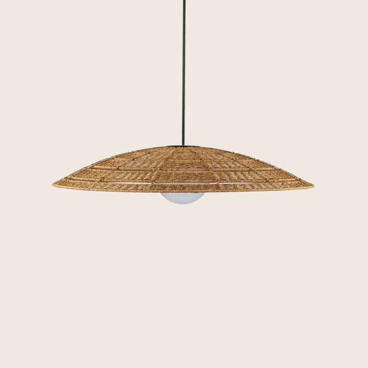 Barbary Outdoor Pendant