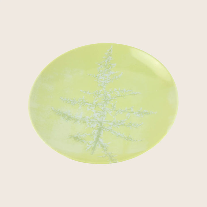 Botanique Presentation Plate